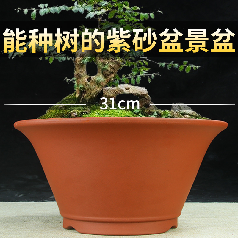 宜兴紫砂花盆特价圆口斗笠碗盆景盆阳台君子兰绿萝多肉简约陶瓷盆