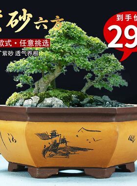 紫砂简约古典六边六角刻绘兰花盆