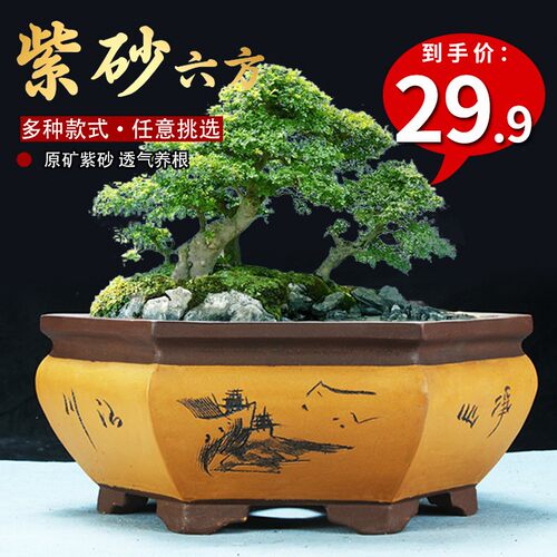 紫砂简约古典六边六角刻绘兰花盆