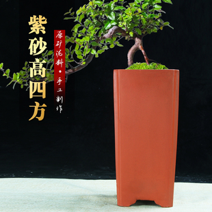 高四方紫砂花盆特价 中国风兰花飘枝老桩造景盆陶瓷盆景盆 清仓高款