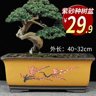 紫砂长方盆兰花盆景花卉绿植盆栽文竹特价促销透气特大号老桩点彩