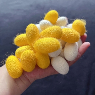 完整天然美容蚕茧美工蚕茧白色茧子金色蚕茧干茧蚕丝扇抽丝蚕茧