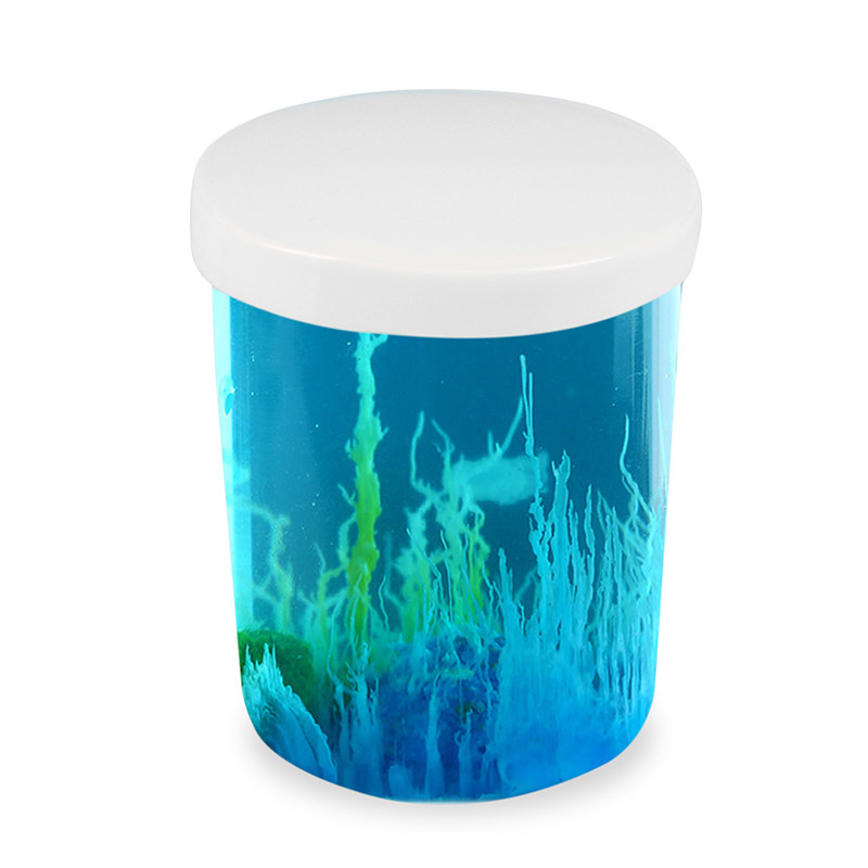 화학 과학 실험 장난감 초등학생 과학 기술 소규모 생산 줄기 어린이 발명 창조적 인 물 정원 DIY