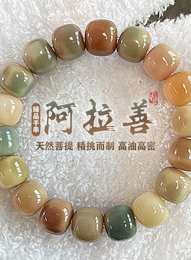 阿拉善花皮菩提根手串绕指柔学生版文玩佛珠念珠高油高密盘玩手串