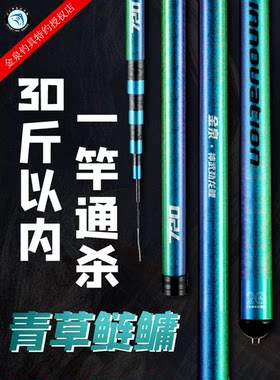金泉神武劲龙鲤20周年纪念版新款鲢鳙轻量大物竿综合竿钓鱼竿手竿