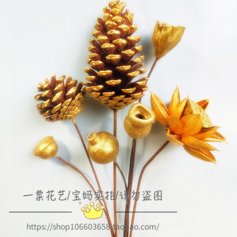 金葫芦金莲蓬真花装饰摆件荷花莲禅意中式花瓶插花蓬家居客厅摆设,鲜花速递/花卉仿真/绿植园艺,干花,淘宝优惠券,粉丝福利购,淘宝优惠卷