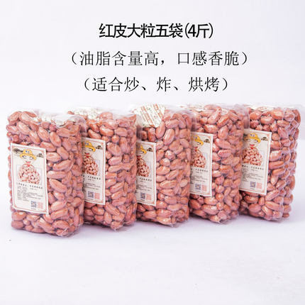 2025年听言花生米大粒生新货山东农家特产花生仁红皮餐饮孕妇特级