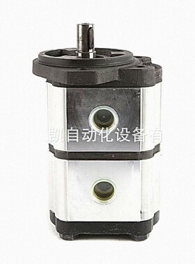 意大利OT双联泵OT200P08+08D/G31S2