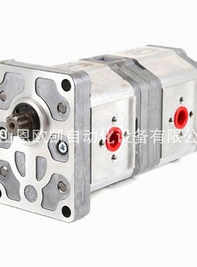 意大利DANFOSS双联泵SNW2NN/60LN01DMNNC3C3NNNN/NNNNN+SNP2NN/6