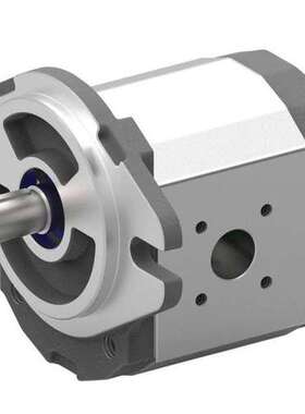 优势供应意大利原装进口 MARZOCCHI 双联齿轮泵 ALPA2-S-9+ALPP2