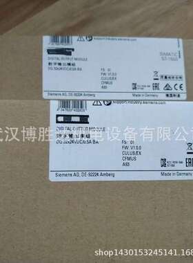 6ES7138-4DB03-0AB0 S7-100系列 数字模块 6ES71384DB030AB0 现货