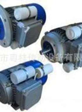 CARPANELLI普通电机 CARPANELLI刹车电机 CARPANELLI电机M80B4-B5