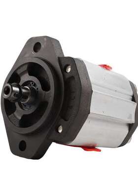 ALP2A-D-40-FGALP2A-D-50-FG齿轮泵 原装进口 意大利