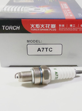 火炬火花塞A7TC/B7TC/D8TC /4114/4196/AX100/110/125三轮摩托车