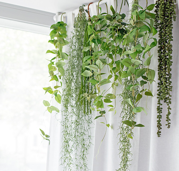 北欧INS精品仿真植物假花藤条绿萝吊兰装饰墙壁挂花吊篮挂藤包邮