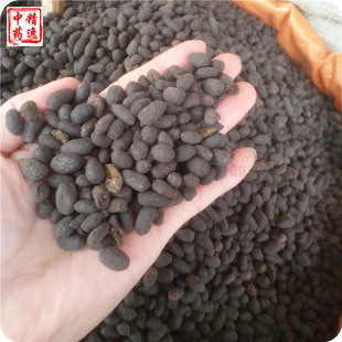 中药材五灵脂500g生五灵脂黑牵牛生广木香灵脂米老鼠屎