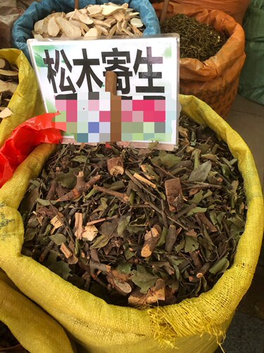 松树寄生松木寄生马尾松寄生高山松油松寄生干品500g