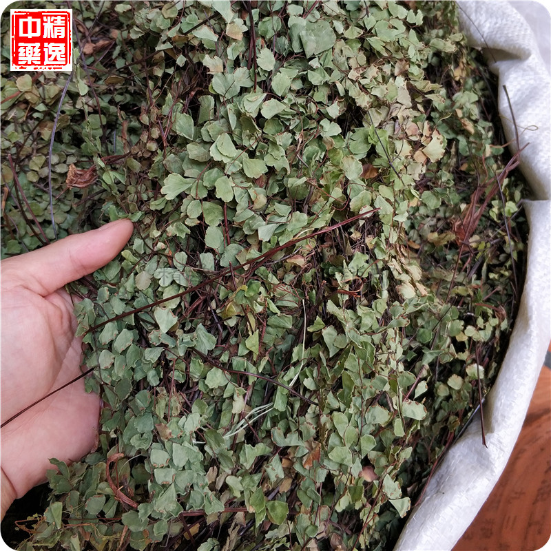 中药材猪鬃草1000g 铁线蕨 铁线草水猪毛七猪毛草黑骨芒箕中草药