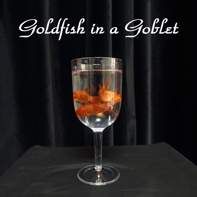 高脚杯变鱼Goldfish in a Goblet魔术道具可检查近景舞台班级才艺