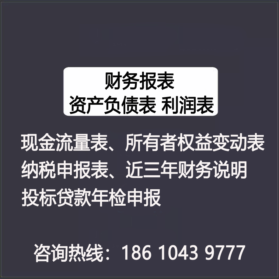 年度财务报表投标标书资产负债表利润表年检审清算注销计算列报表