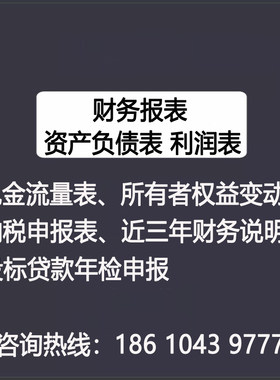 年度财务报表投标标书资产负债表利润表年检审清算注销计算列报表