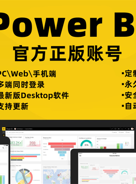 powerbi账号power bi基础版pro版永久账号数据可视化Desktop软件
