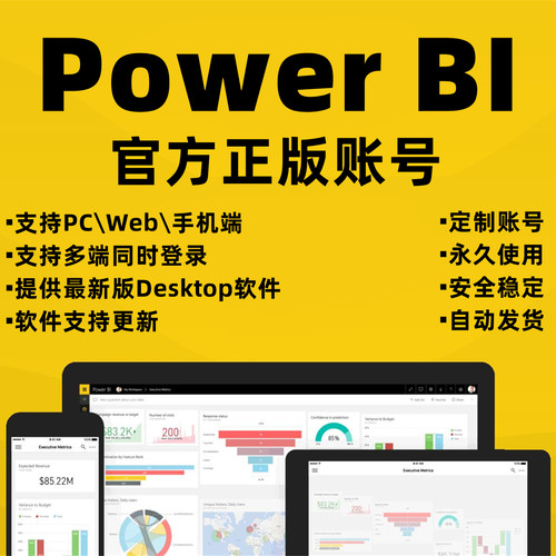 powerbi账号power bi基础版pro版永久账号数据可视化Desktop软件