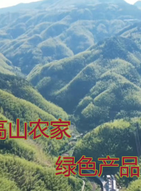 生姜地瓜粉自家种植绿色农产品助农直播专拍