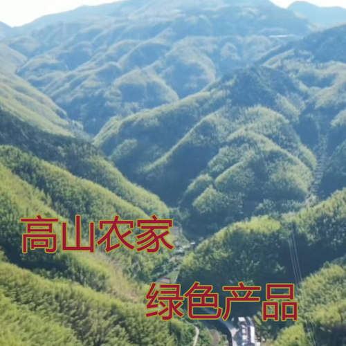 生姜地瓜粉自家种植绿色农产品助农直播专拍