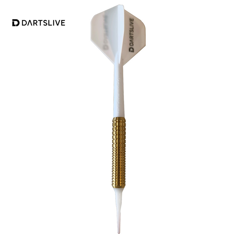 Dartslive飞镖机公镖学生飞镖