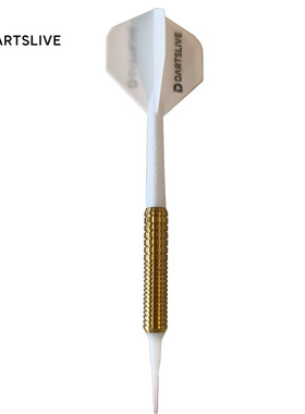 Dartslive飞镖机训练镖 公镖 学校学生飞镖 安全软式比赛一体飞镖