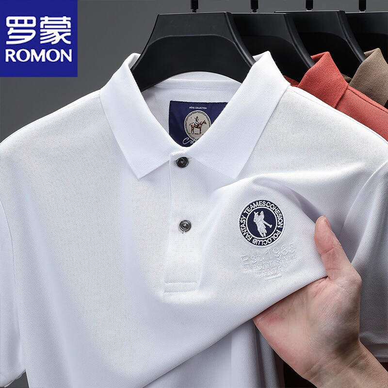 罗蒙2025夏季新款短袖t恤衫男士高级感商务休闲刺绣透气Polo衫男