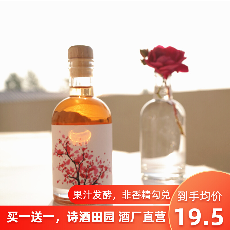 溪山隐记蜜桃酒桃花酒桃花酿高颜值梅子酒纯桃汁甜果酒礼品酒 溪山隐记 淘优券