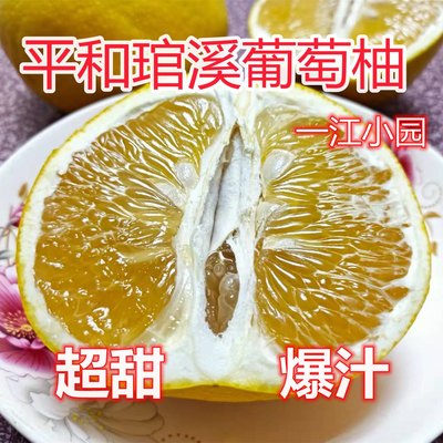 平和琯溪葡萄柚当季新鲜水果