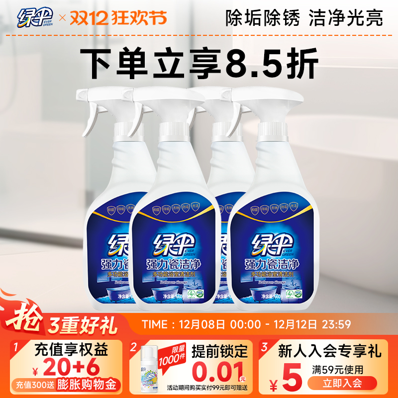 绿伞强力瓷洁净除垢除锈660g*4瓶
