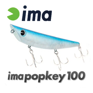 日本IMA远投路亚水面铅笔土狗imapopkey100假饵拟饵江河水库翘嘴