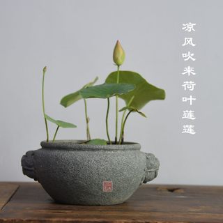 石头坊语青石花盆碗莲睡莲专用盆兽头缸钵兽首无孔圆口盆景盆圆形