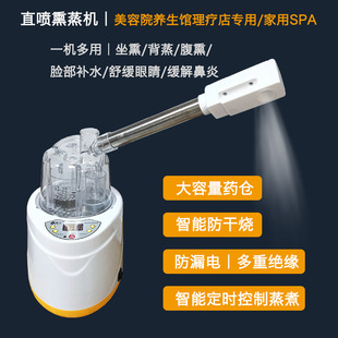 定时中草药熏蒸仪热喷喷雾机热喷仪熏眼仪鼻器美容院家用面部补水