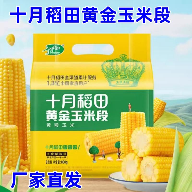 十月稻田黄金玉米段8厘米*8段黄糯玉米新鲜东北苞米8段真空包装
