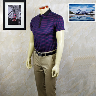 鸟系列 新品1690元+桑蚕丝 男夏薄款凉爽时尚修身短袖T恤