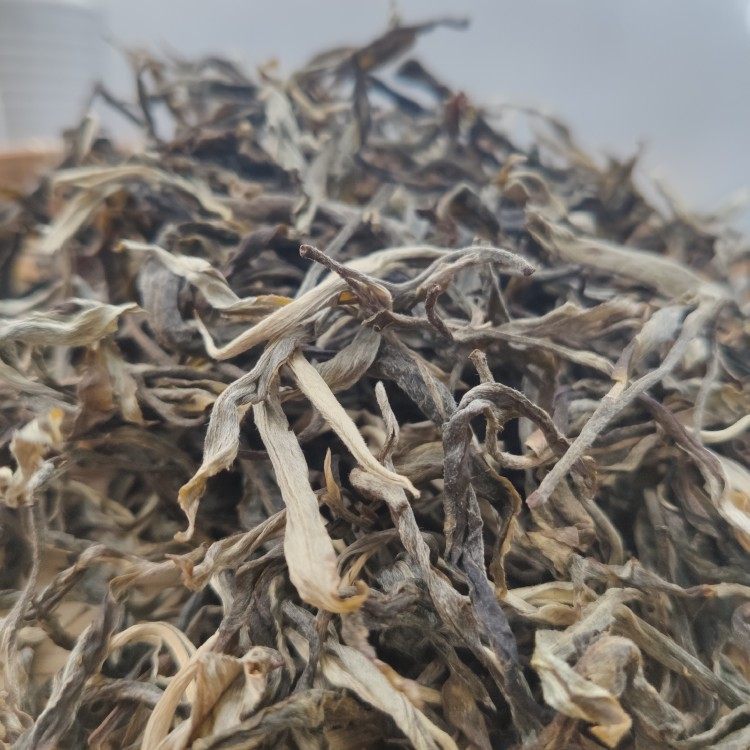 2022南糯山石头老寨古树纯料散料500克