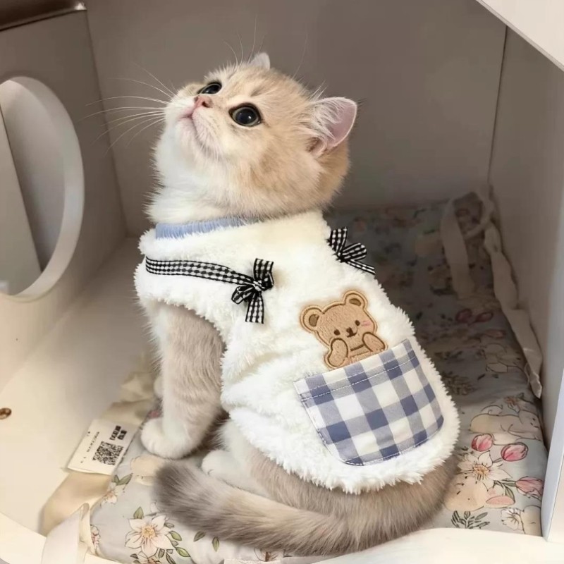 猫咪衣服秋冬装保暖防掉毛马甲宠物布偶无毛德文猫2025新款小衣服