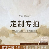 店铺内款 式 特殊定制链接