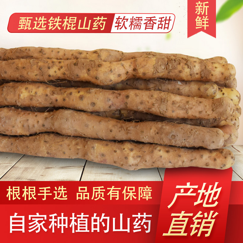 河南焦作温县垆土山药鲜淮山精品57cm5斤装部分包邮