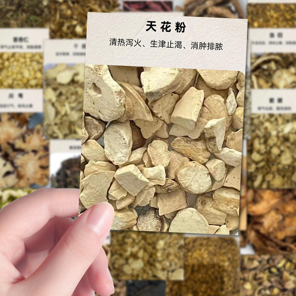 160张中药药材辨识图解贴纸健康养生小知识科普创意diy手机壳桌面
