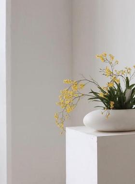 西岱岛北京同城配送高级新年花卉乔迁送礼香水兰盆栽植物伴手礼