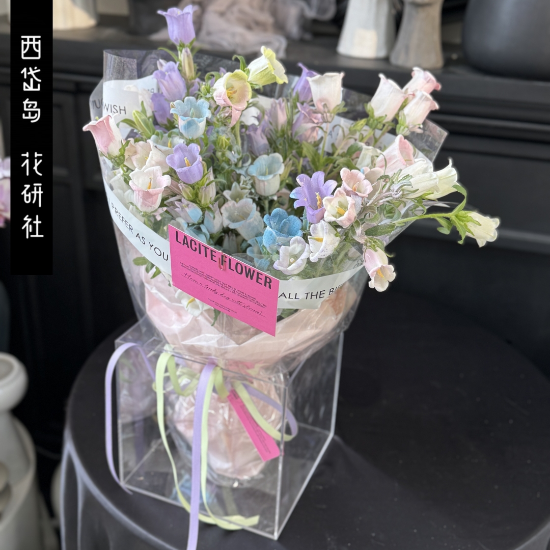 西岱岛 北京同城鲜花速递生日新款粉彩虹风铃喷染小花束
