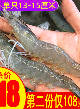 大虾鲜活冷冻超大海虾王牌明虾特大青虾白对虾基围虾青岛海鲜水产
