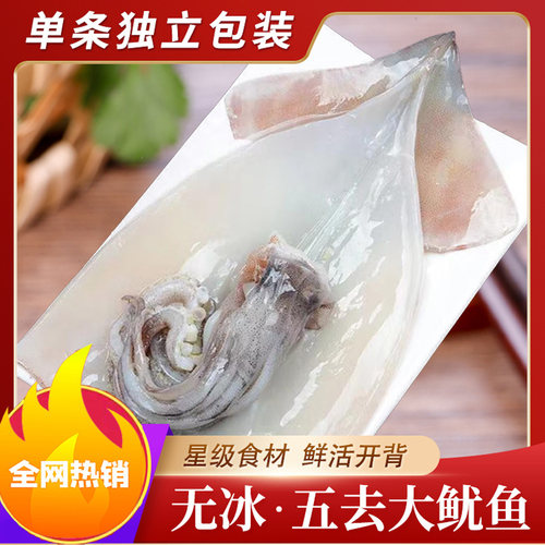 五去免清理去内脏大鱿鱼无冰大号
