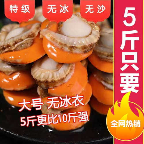 无冰衣特级大号带黄扇贝肉商用